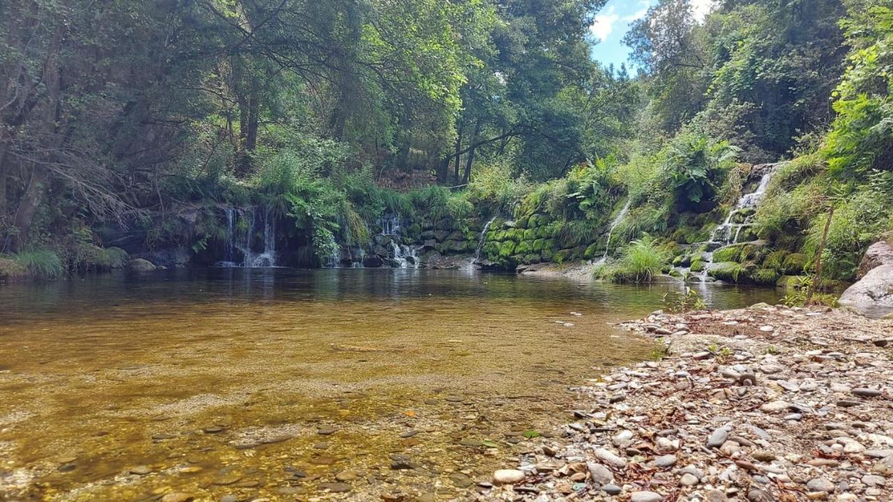 Sitio Dos Cogumelos Alojamentos Amarante Bagian luar foto